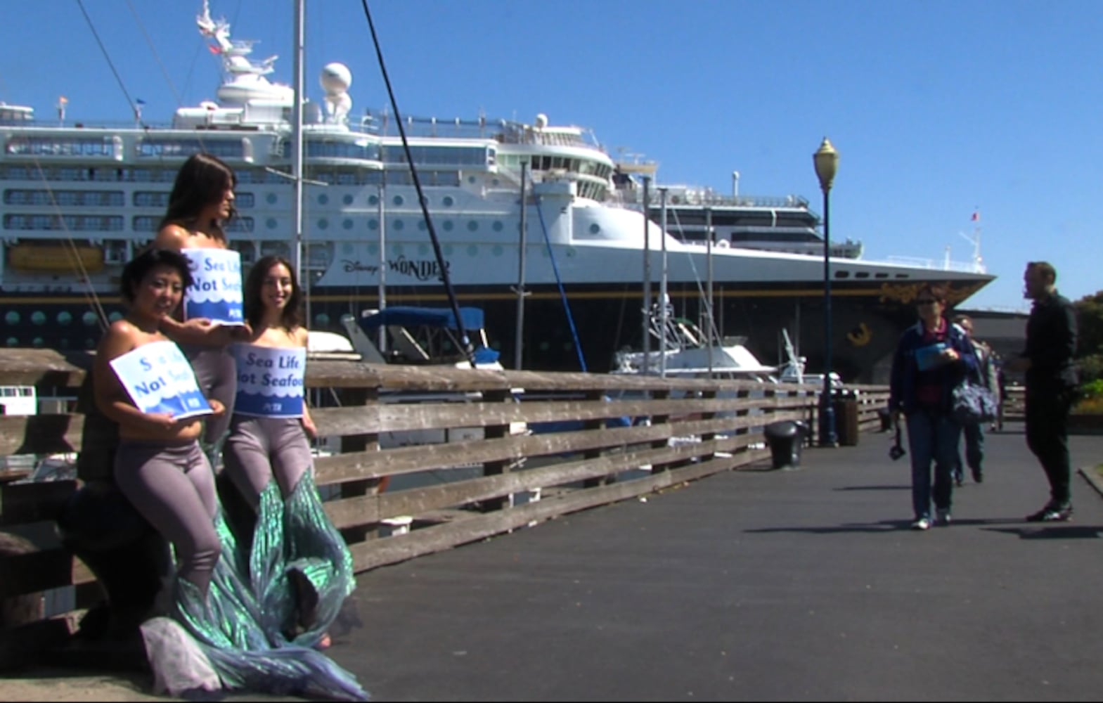 PETA and topless mermaids against seafood