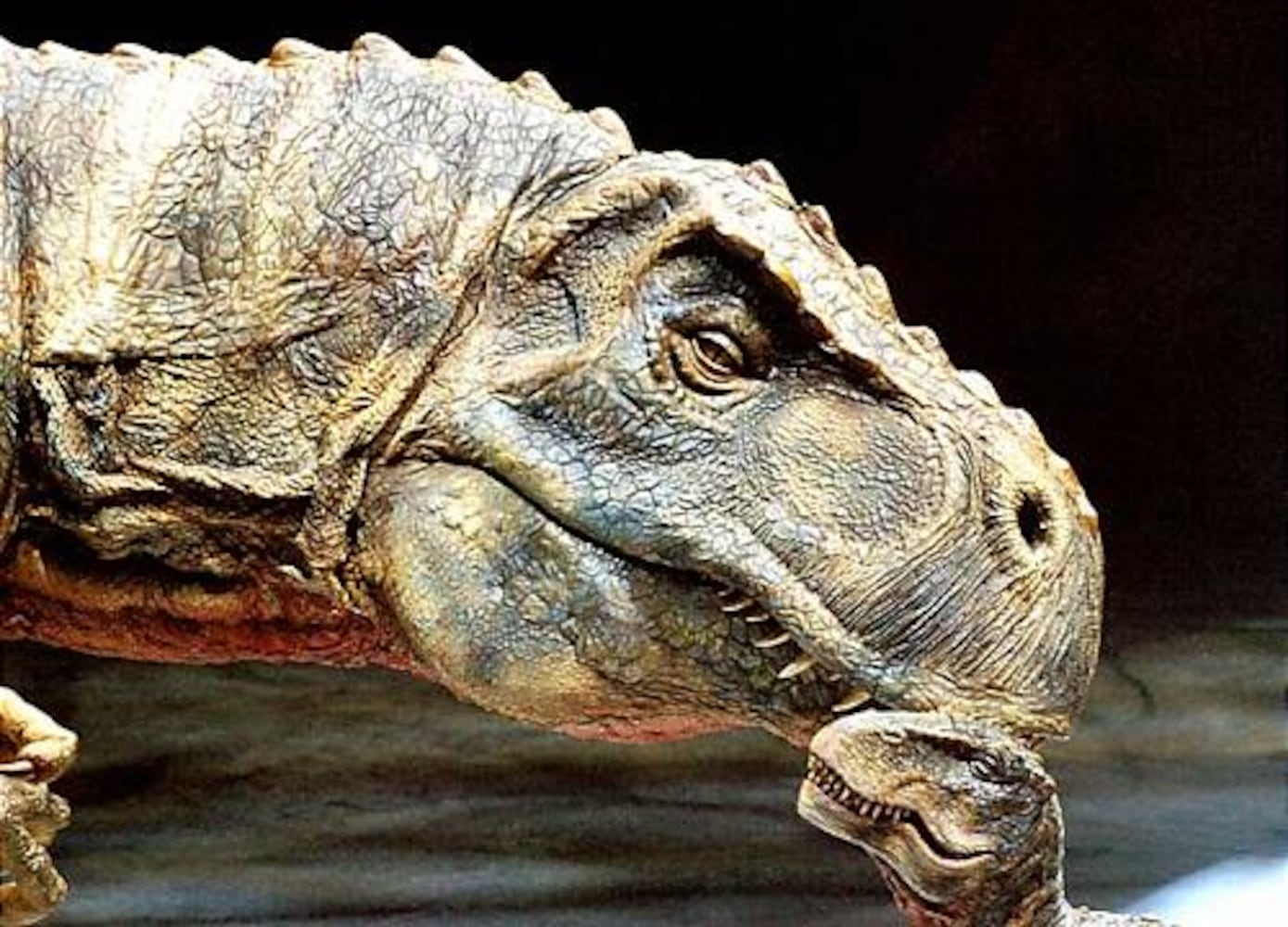 Walking with Dinosaurs' at Philips Arena