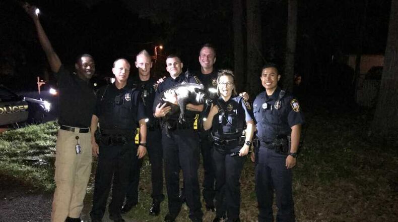 Some officers of Smyrna police's patrol shift D ran down Pepper the pig, a pet who'd gotten loose.