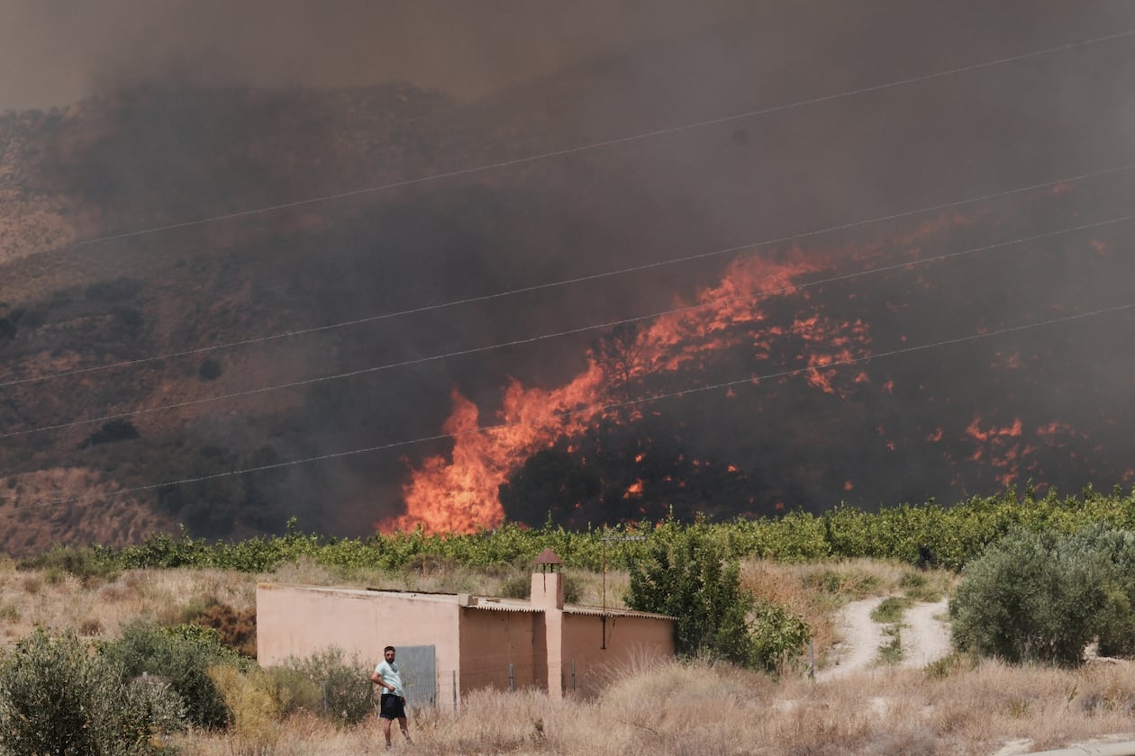 A wildfire rages in Alfajir, near Almeria in southeastern Spain, Friday, July 10, 2026. (AP Photo/Gregorio Marrero)