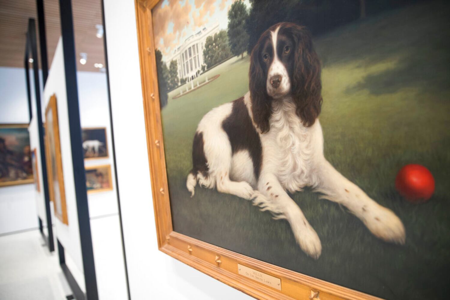 american kennel club museum of the dog