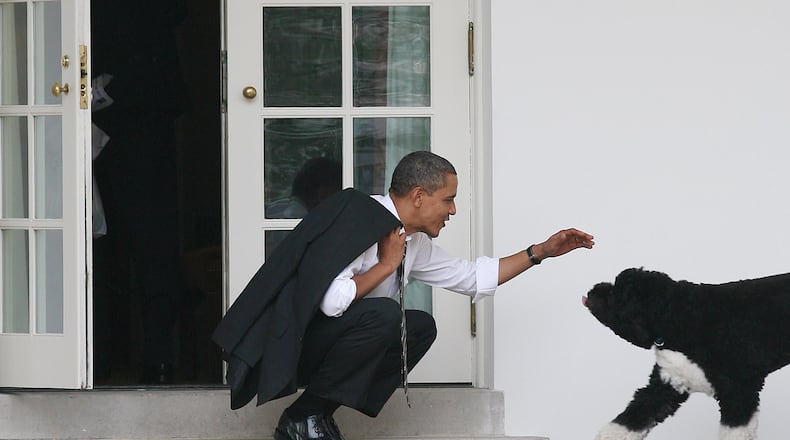 WASHINGTON - MARCH 15: U.S. President Barack Obama greets his dog Bo outside the Oval Office of the White House March 15, 2012 in Washington, DC. (Photo by Martin H. Simon-Pool/Getty Images)