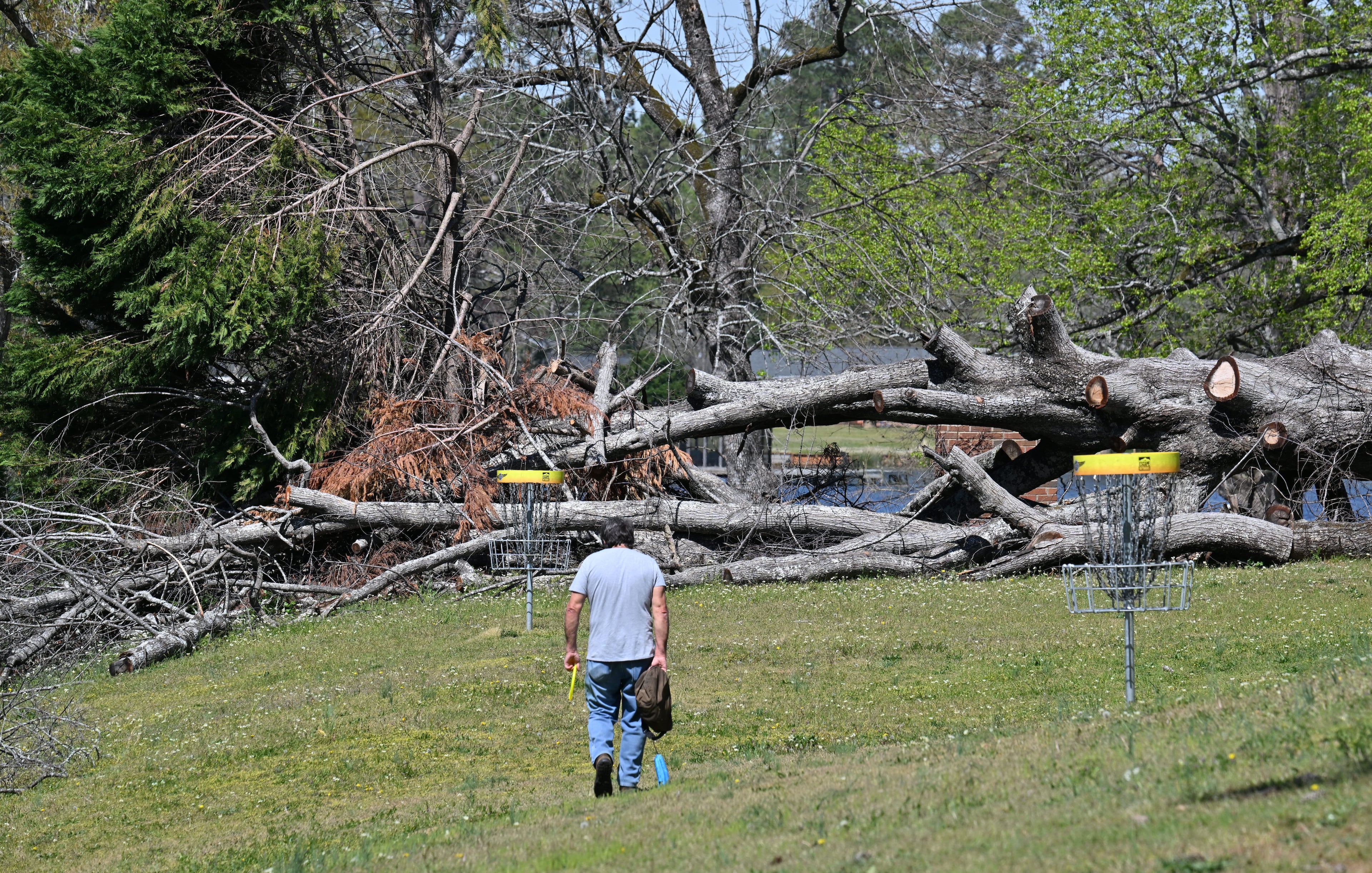 A disc golfer navigates downed trees at Lake Olmsted Park Disc Golf Course, Tuesday, March 25, 2025, in Augusta. (Hyosub Shin/AJC)