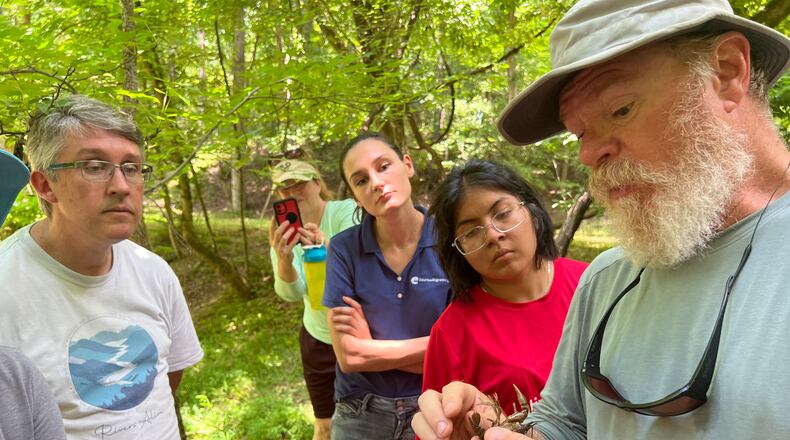 Volunteers participating in the restoration of Crayfish Creek in Sugar Hill inspect a Chattahoochee Crayfish. (Courtesy Tixie Fowler, Gwinnett County Soil and Water Conservation District)