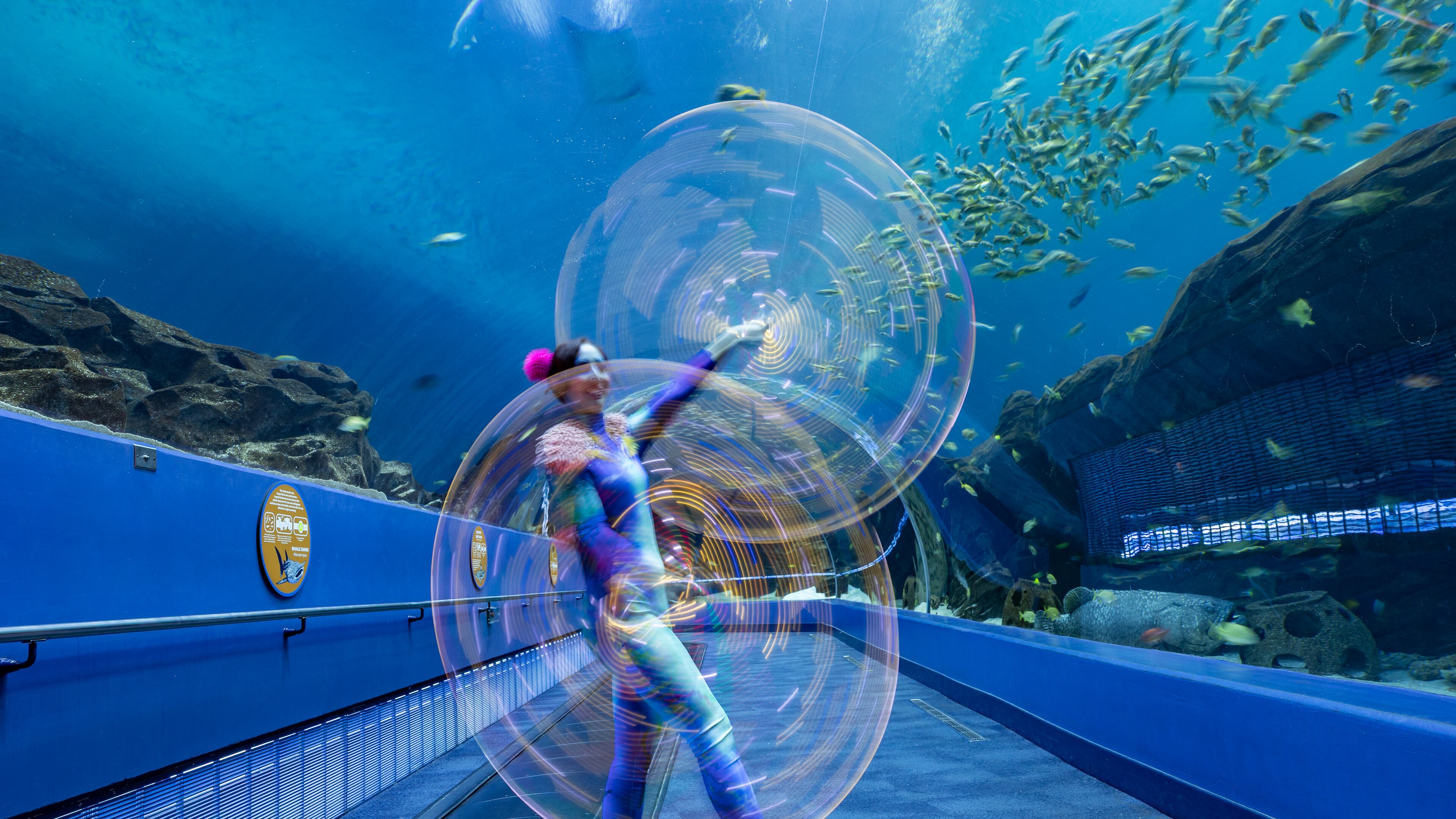 A performer twirls glowing ribbons inside the aquarium's walk-through tunnel. Glow Nights will open May 30 and run through Aug. 17. (Courtesy of Addison-Hill)