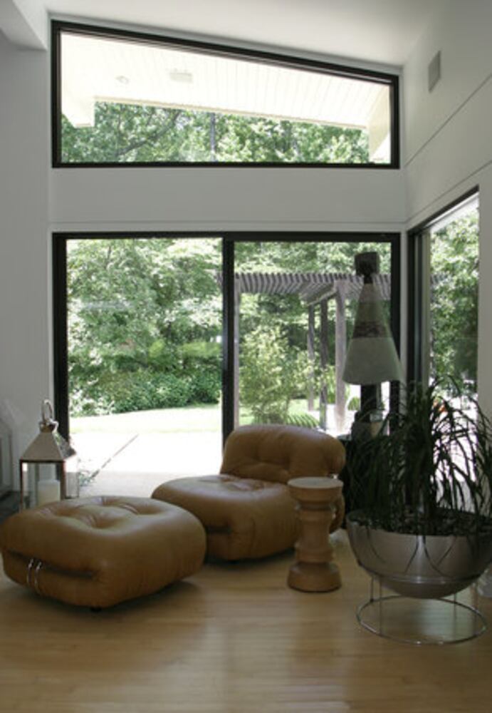 Mid-Century modern: A house to see through