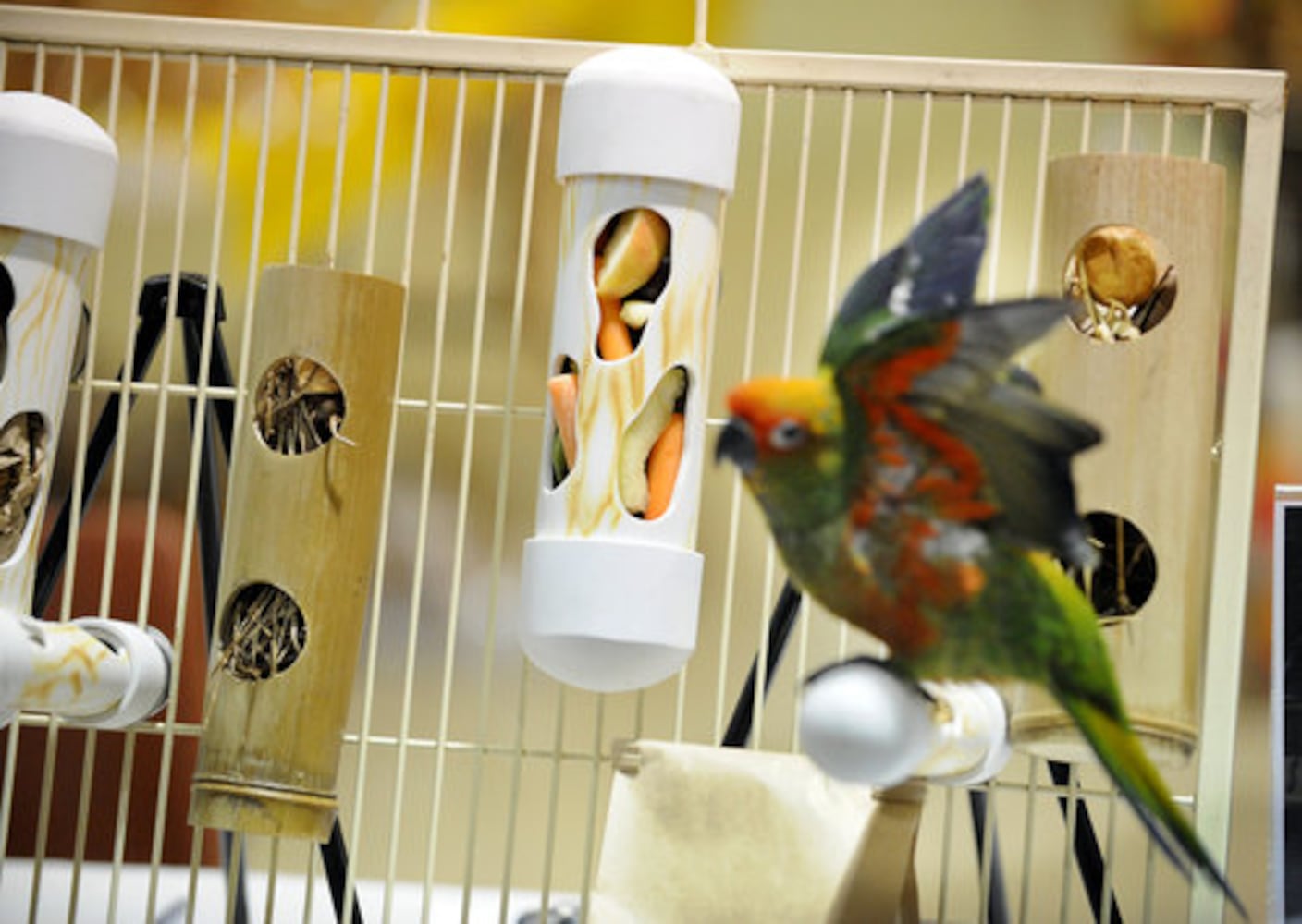 Scenes from the Atlanta Exotic Bird Fair