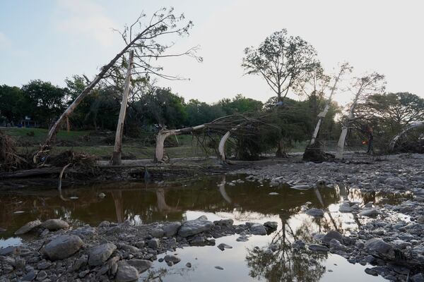 Debris covers over tree limbs after flooding near the banks of the Guadalupe River in Kerrville, Texas on Tuesday, July 8, 2025. (AP Photo/Ashley Landis)