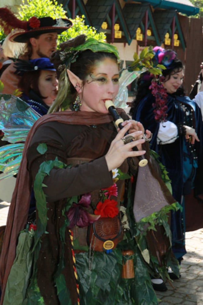 Georgia Renaissance Festival