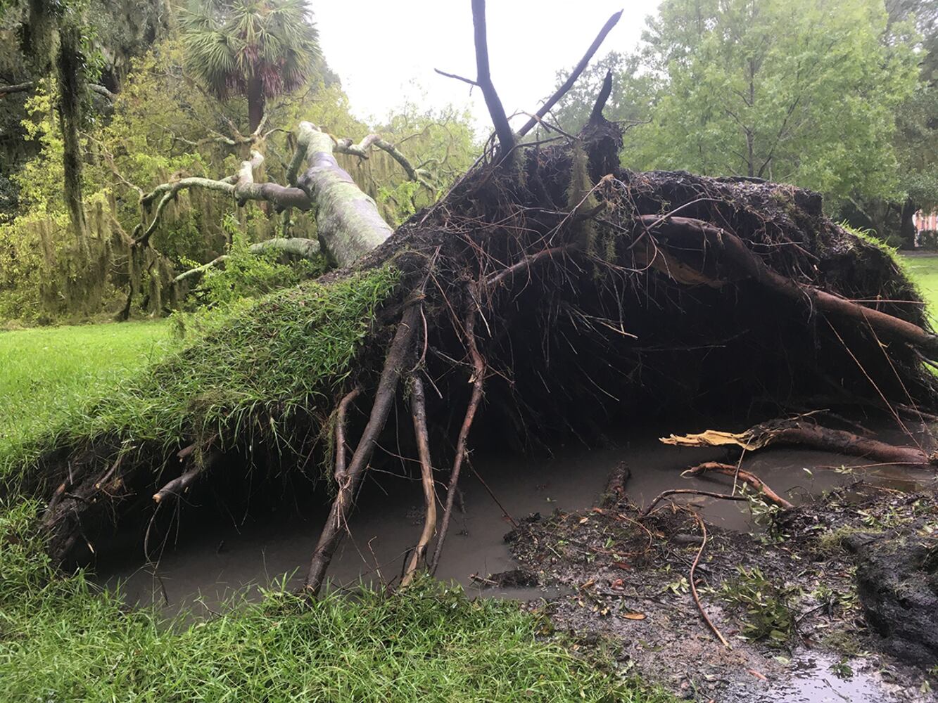 Photos: Irma arrives in Georgia