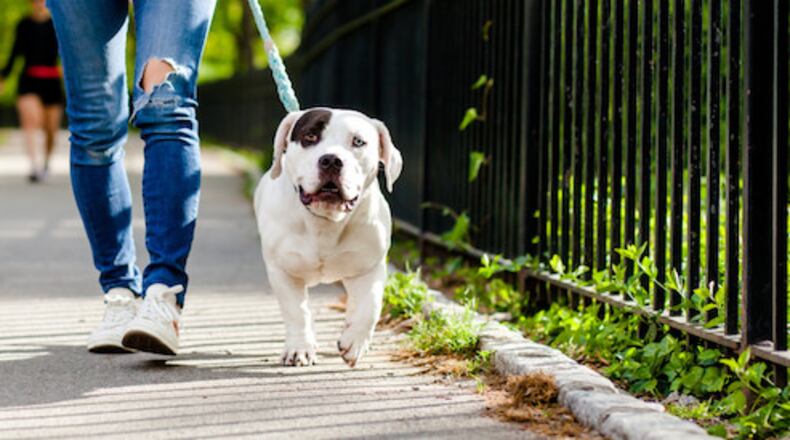 The Gwinnett County Animal Shelter will get a $50,000 grant for a community outreach.
