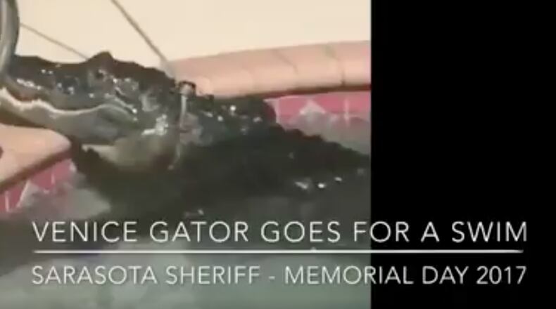 Photo: Sarasota Sheriff's Office Deputy Lori Clark