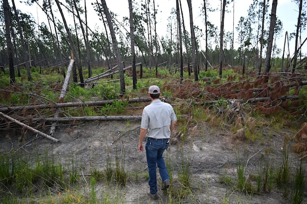 Hurricane Helene ravaged swaths of farm and timberland in South Georgia last year.