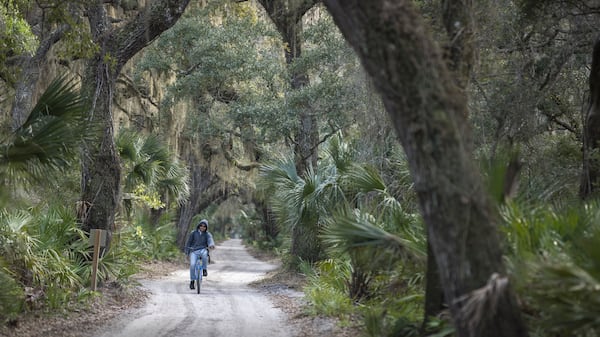 The National Park Service says an exchange on Cumberland Island National Seashore would connect more federally owned parcels and give four landowners parcels that would be “less impactful on visitors.” But environmental groups say private landowners are being prioritized over a congressional mandate to preserve the island in its natural state.