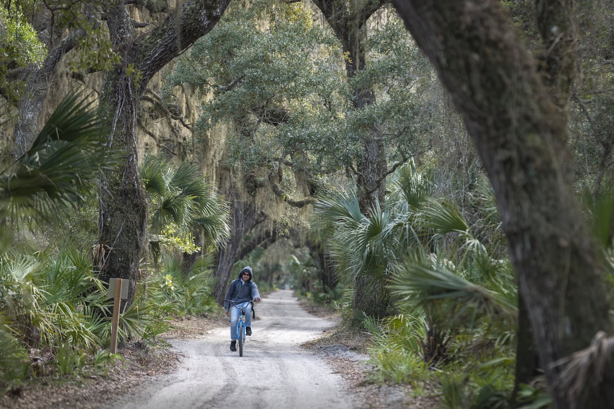 A visitor bikes the main road that connects the Dungeness mansion ruins to Sea Camp in Cumberland Island. Increased visitation plans for the Georgia barrier island have spawned several concerns from critics. (Stephen B. Morton for the AJC)