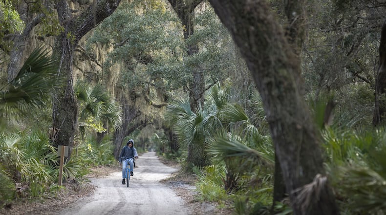 CUMBERLAND ISLAND, GA - DECEMBER, 26, 2022: A visitor bikes the main road on the National Seashore that connects the Dungeness ruins to Sea Camp, Monday, Dec. 26, 2022, in Cumberland Island, Georgia. (AJC Photo/Stephen B. Morton)