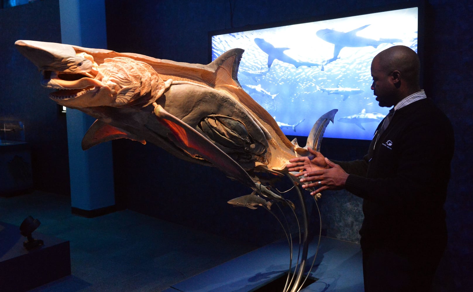 Sea Monsters at Georgia Aquarium