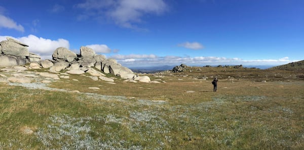 This image provided by Eric Warrant shows the mountainous landscape near caves where Australian Bogong moths go to cool down and rest at the Ramshead Range of the Snowy Mountains in New South Wales, Australia. (Eric Warrant via AP)
