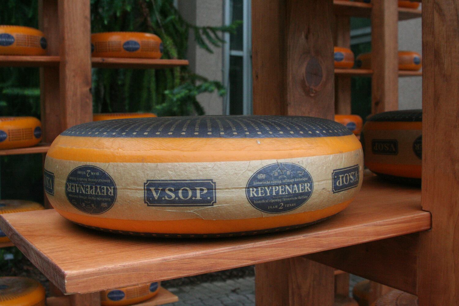 Atlanta Cheese Festival
