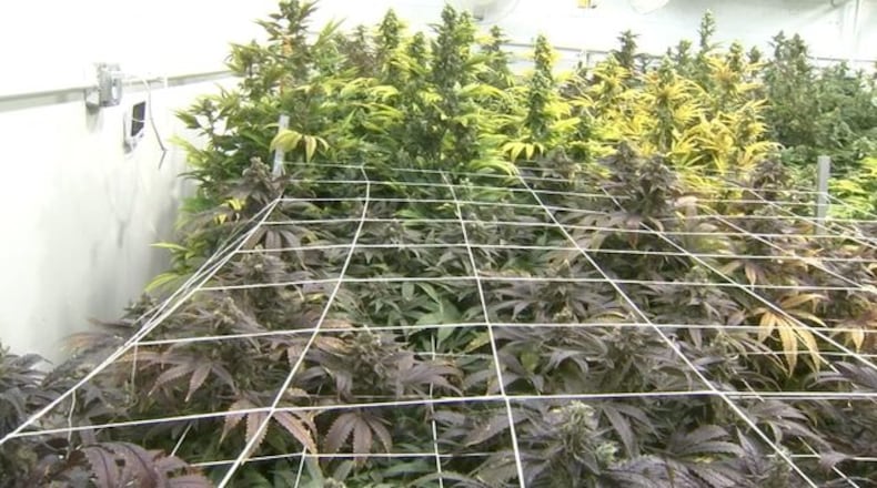 An Atlanta man traveled from Georgia to Connecticut to pick up his share of cash as part of a marijuana trafficking group, investigators said.