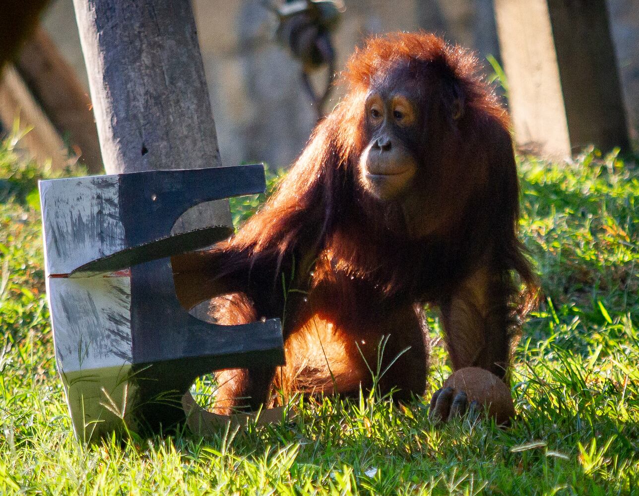 PHOTOS: 090819 zoo