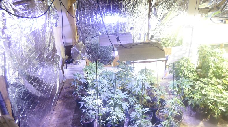 Marion County (Fla.) sheriff’s deputies found more than 200 marijuana plants growing on property they say was rented by Aubrey Lee Price. Marion County Sheriff’s Office photo.