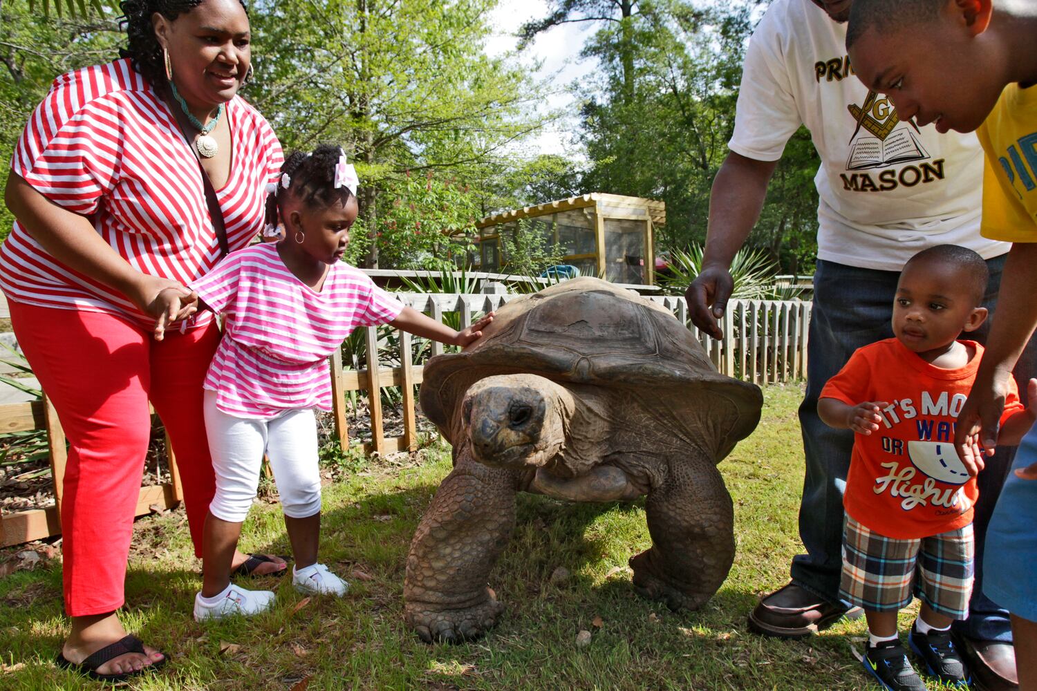 Atlanta animal encounters
