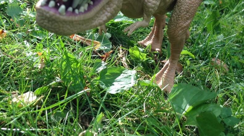 Gwinnett Commissioners recently accept a donation of nine foam dinosaur replicas and associated mountings from NDI Development, to be used in conjunction with a previously awarded grant called ‘Meet Me in the Park.’ Courtesy The Good Man Project