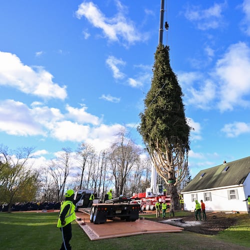 IMAGE DISTRIBUTED TISHMAN SPEYER - Workers prepare to crane a wrapped 75-foot tall, 11-ton Norway Spruce, that will serve as this year's Rockefeller Center Christmas Tree, onto a flatbed truck, Thursday, Nov. 6, 2025, in East Greenbush, NY. The wrapped tree will be brought into New York City by flatbed truck and raised into place at Rockefeller Center on Saturday, Nov. 8. (Diane Bondareff/AP Content Services for Tishman Speyer)