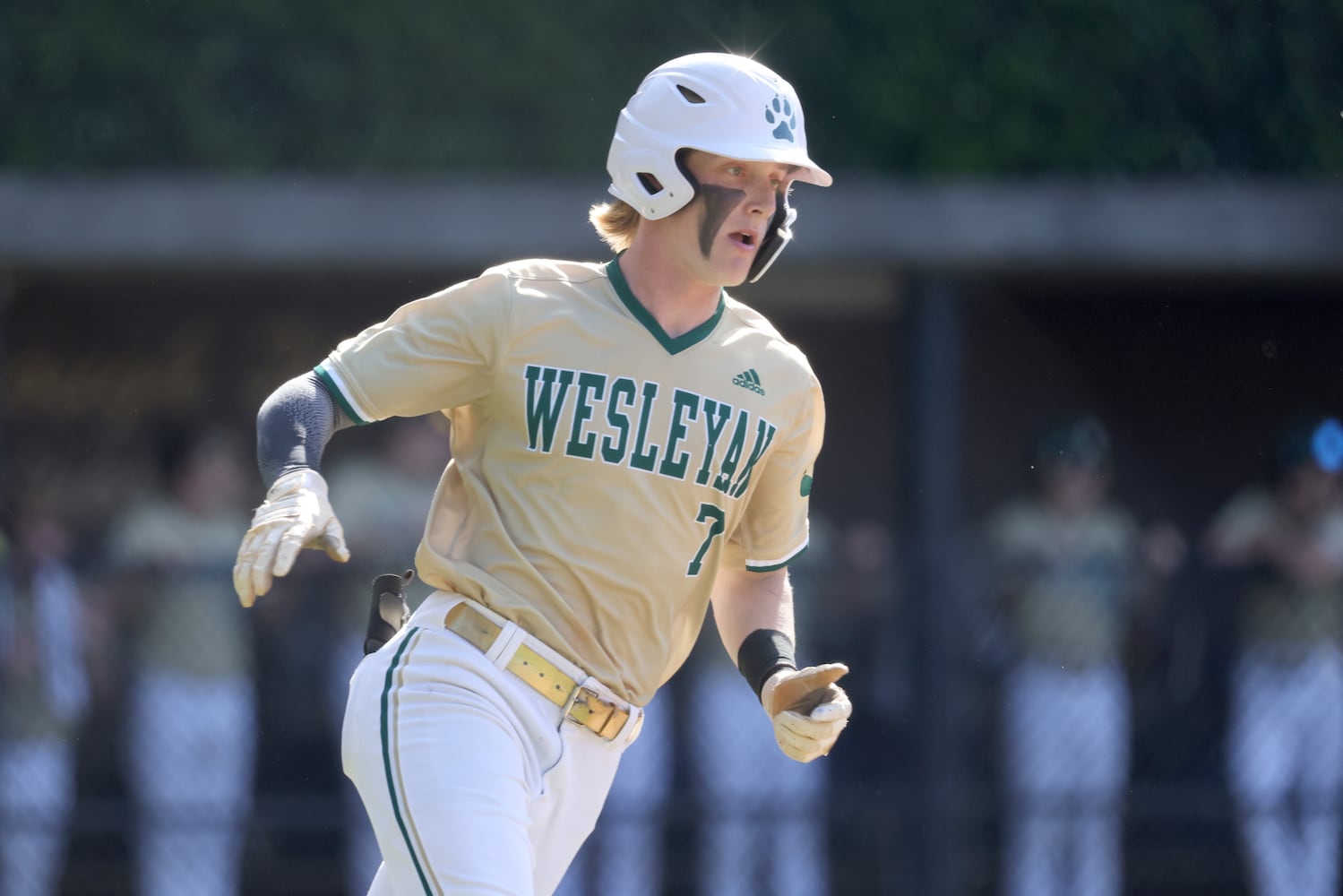 GHSA Baseball Playoffs