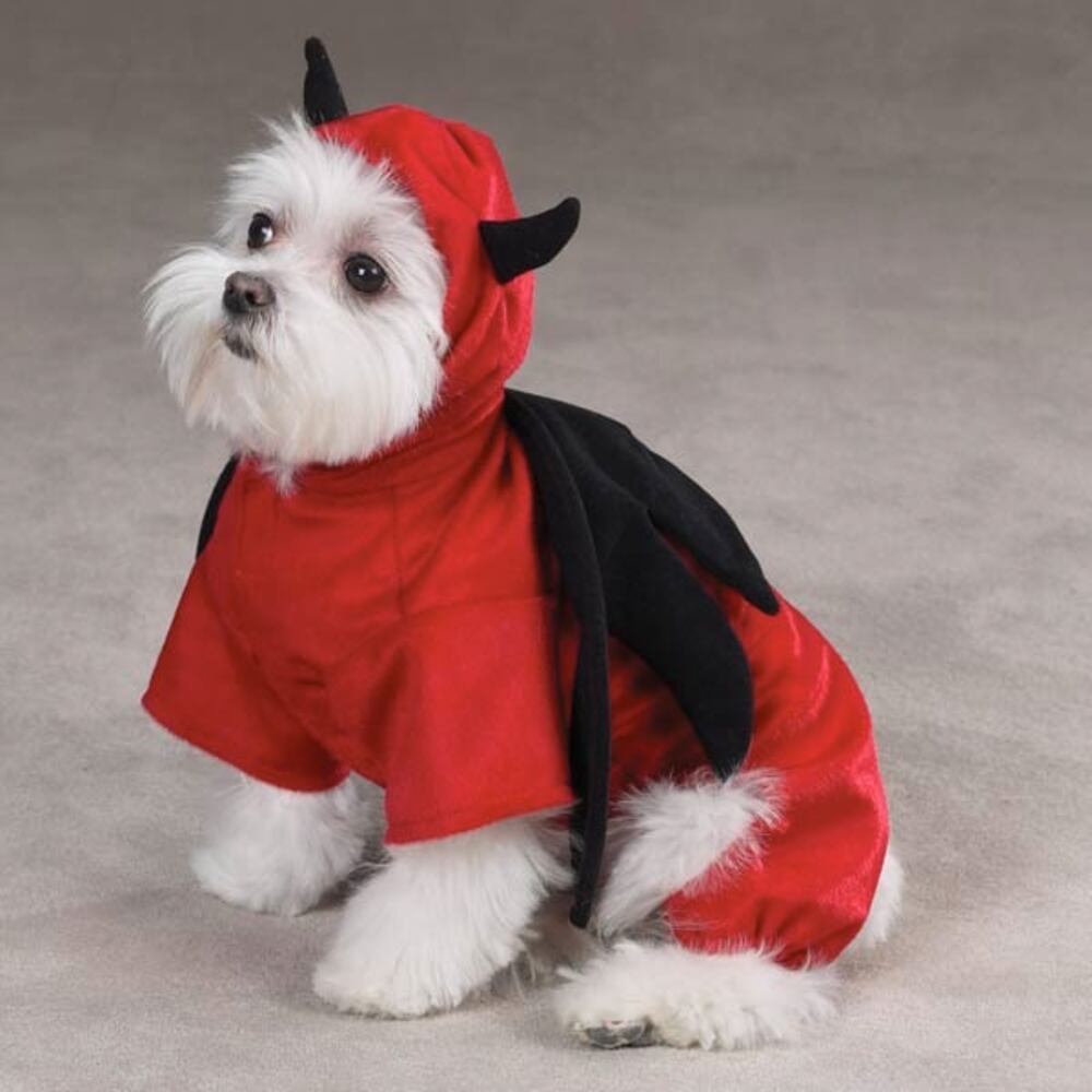 Devil Dog Costume