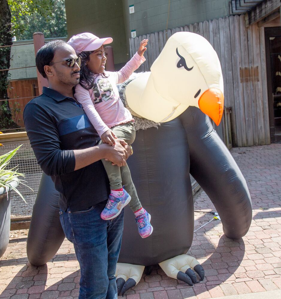 PHOTOS: 090819 zoo