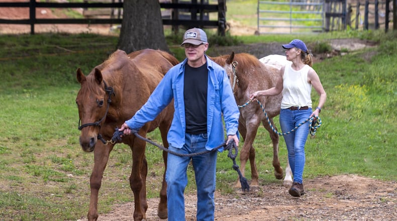 05/27/2020 - Cumming, Georgia - Volunteers Denise Michelli of Buford (right) and Jeff Lawalin of Gainesville (left) lead a couple horses to a barn during the morning shift at Save the Horses farm in Cumming, Wednesday, May 27, 2020. (ALYSSA POINTER / ALYSSA.POINTER@AJC.COM)