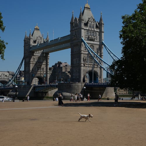 A dog runs over dried grass in front of Tower Bridge during the fifth heatwave of the year in London, Thursday, Aug. 13, 2026. (AP Photo/Kirsty Wigglesworth)