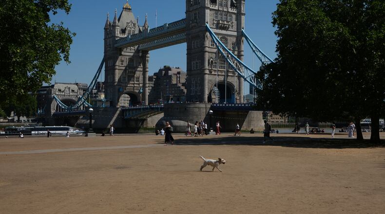 A dog runs over dried grass in front of Tower Bridge during the fifth heatwave of the year in London, Thursday, Aug. 13, 2026. (AP Photo/Kirsty Wigglesworth)