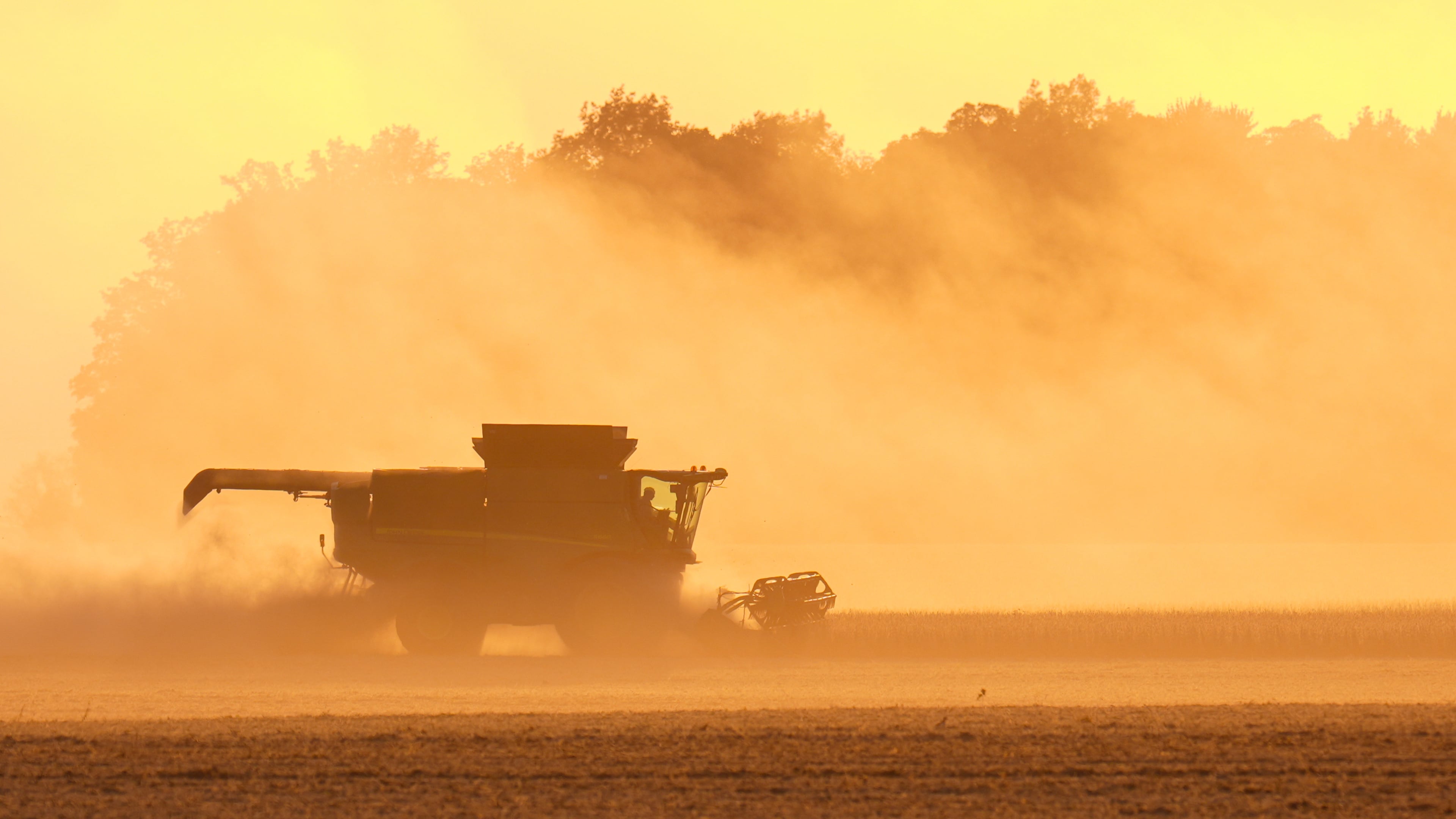 Soybeans are harvested on the Warpup Farm in Warren, Ind., Wednesday, Sept. 17, 2025. (AP Photo/Michael Conroy)