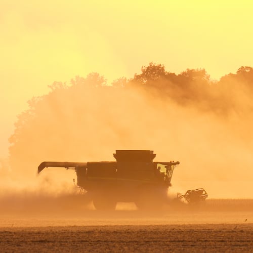 Soybeans are harvested on the Warpup Farm in Warren, Ind., Wednesday, Sept. 17, 2025. (AP Photo/Michael Conroy)
