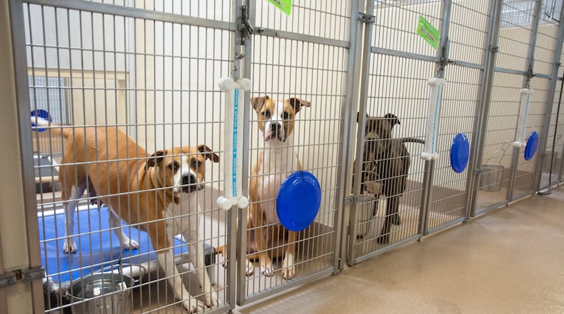 Fulton and DeKalb County animal shelters remain over capacity with twice the number of dogs. Free pet adoptions will take place Friday through Monday to help ease overcrowding.