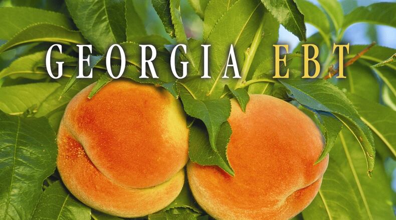 Georgia food stamp card