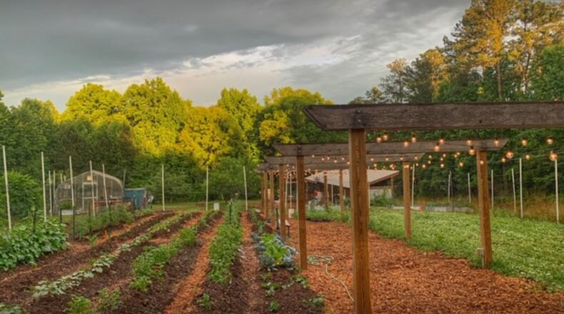 An organic farm operated by Alpharetta's Recreation, Parks and Cultural Services Dept. is located near the entrance to the future 10+ acre Old Rucker Road Park. (Courtesy Emily Dillard via Google)
