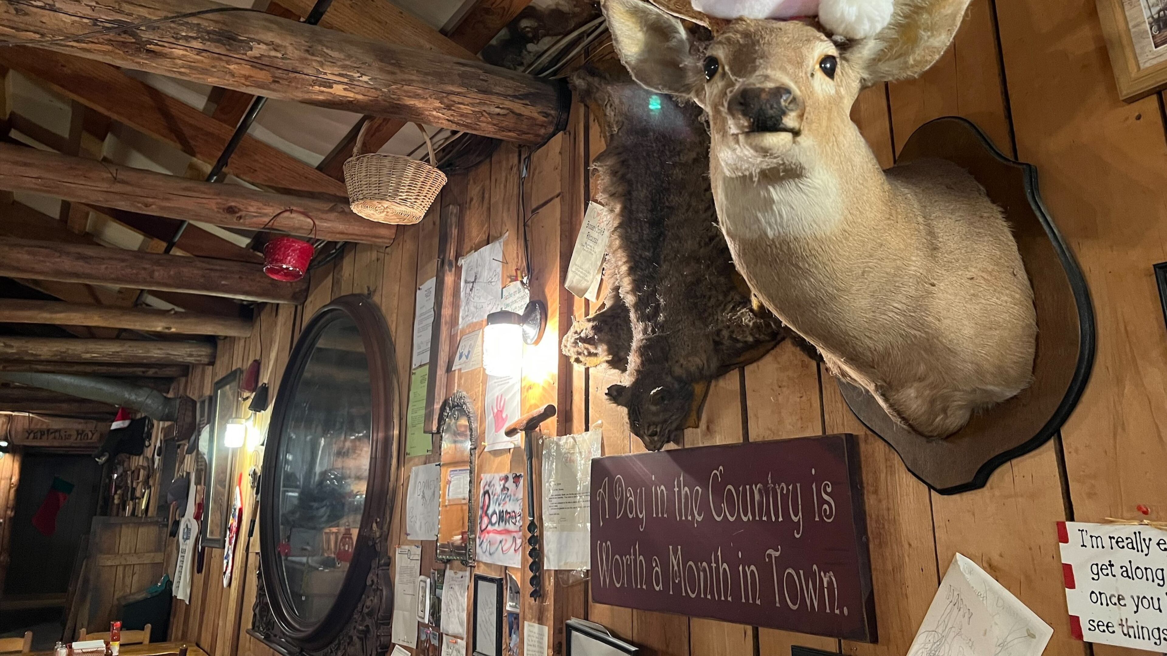 One of Patricia Murphy's best columns was on the city of Buckheadfighting back after Atlanta's Buckhead neighborhood tried to also be the city of Buckhead. The buck's head is mounted at Bonner's Restaurant in Buckhead. (Patricia Murphy/AJC)