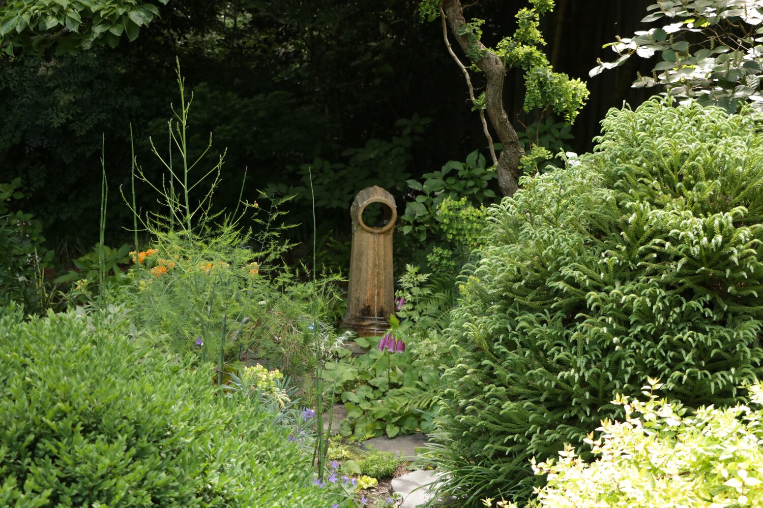 Photos: Best Gardens submitted by AJC readers