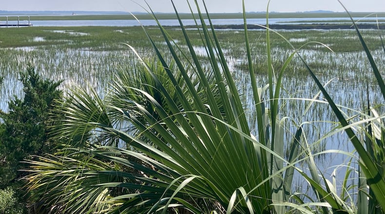 At least seven people were killed Saturday in a dock accident on Sapelo Island, a barrier island in coastal Georgia accessible only by boat. (Adam Van Brimmer/AJC)