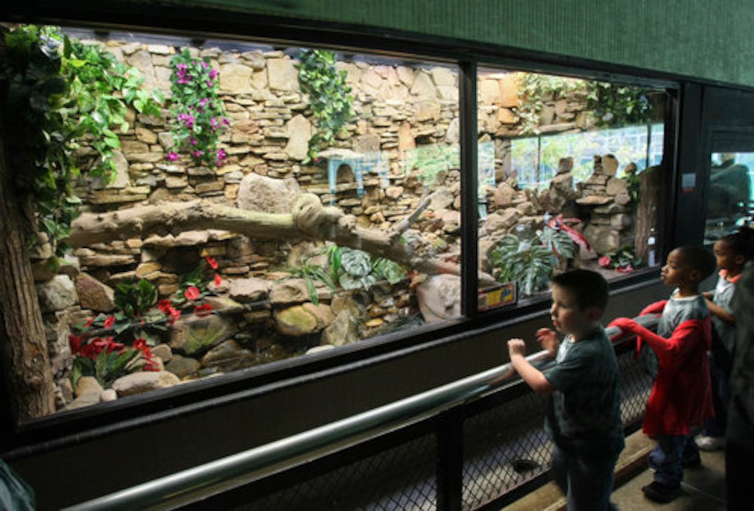 Zoo plans new reptile exhibit