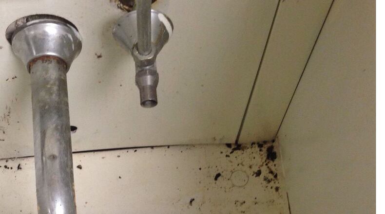 A roach crawls among the dirt in an abandoned sink cabinet near the operating room at Augusta State Medical Prison.