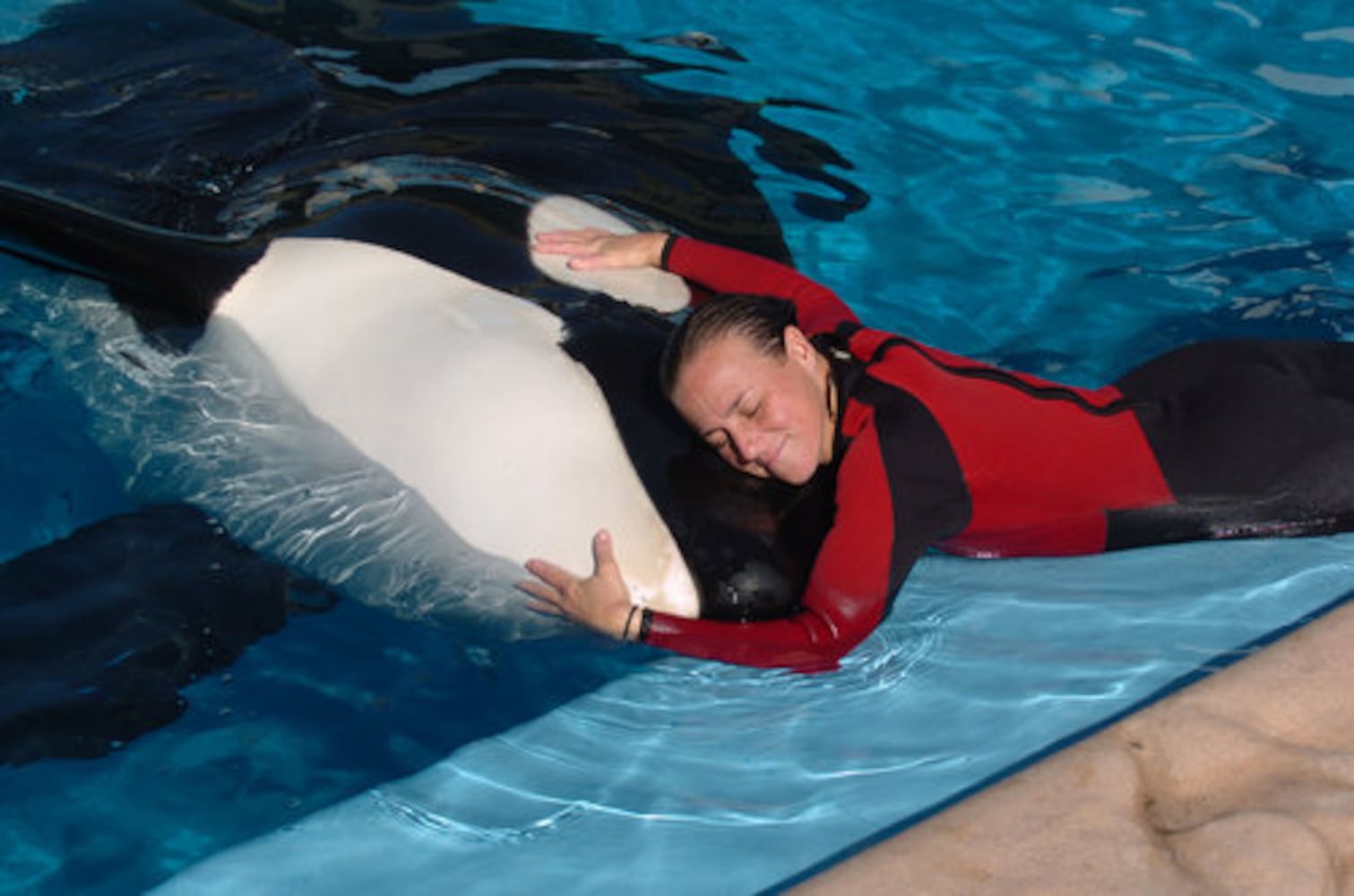 Trainer killed at SeaWorld photos