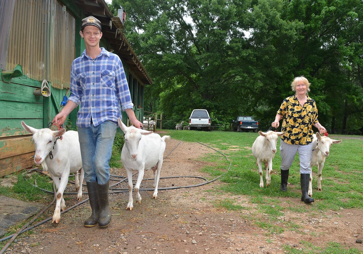 Making goat cheese at Decimal Place Farm