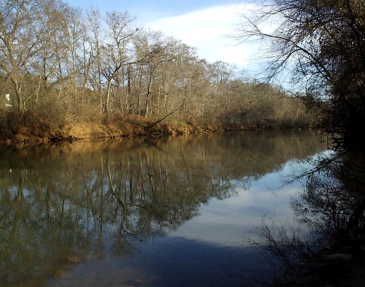 Chattahoochee Trails