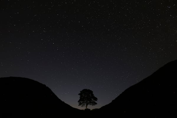 FILE - A general view of the stars above Sycamore Gap, prior to the Perseid Meteor Shower above Hadrian's Wall near Bardon Mill, England, Thursday, Aug. 13, 2015.(AP Photo/Scott Heppell, File)