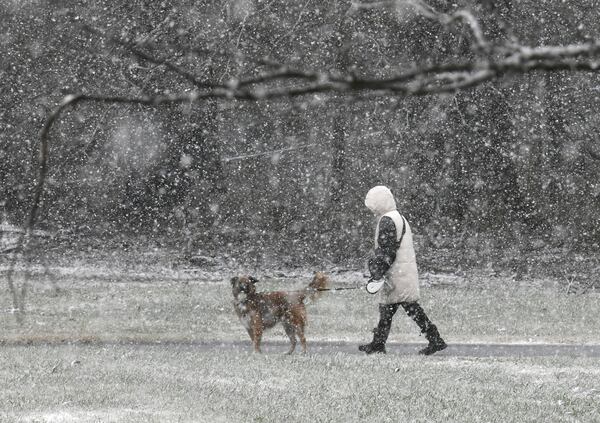 Snow falls on at  Alexander Park Sunday, Jan. 16, 2022, in Lawranceville. (Hyosub Shin / Hyosub Shin@ajc.com)